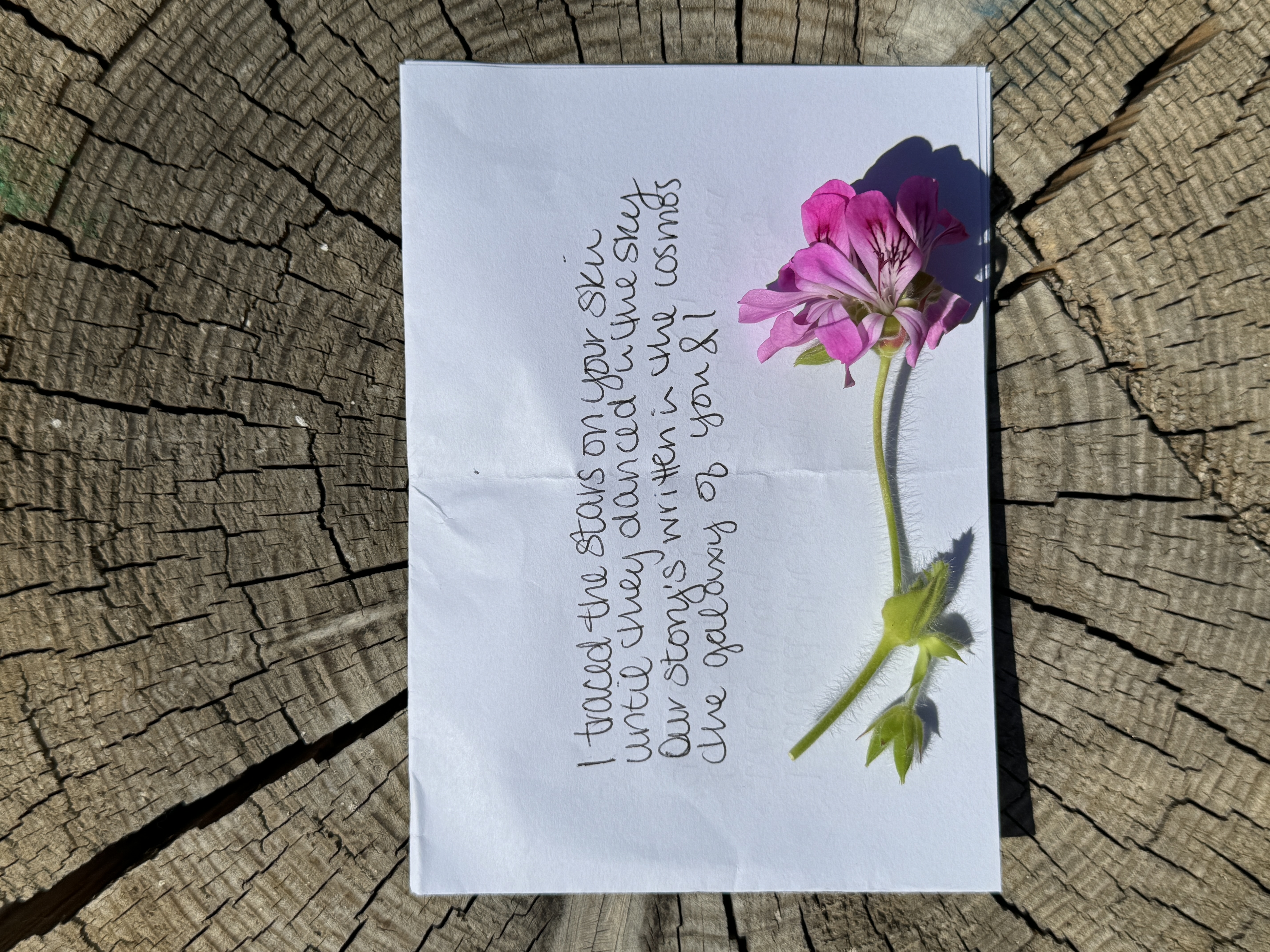 Poems I'll Never Send